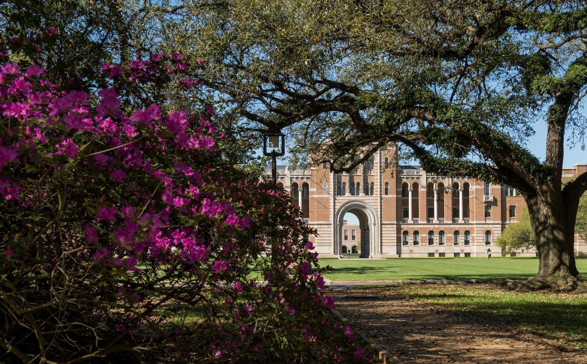 Lovett Hall at Rice University, framed by pink azaleas on the left and an oak tree on the right